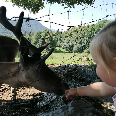 Vakantieboerderij Jelenov Breg Pod Matajurem *