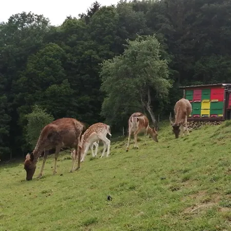 Farma Jelenov Breg Pod Matajurem