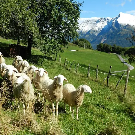 Jelenov Breg Pod Matajurem Kobarid