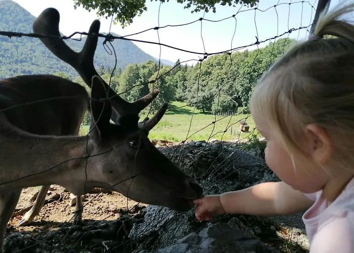 בית חווה Jelenov Breg Pod Matajurem *