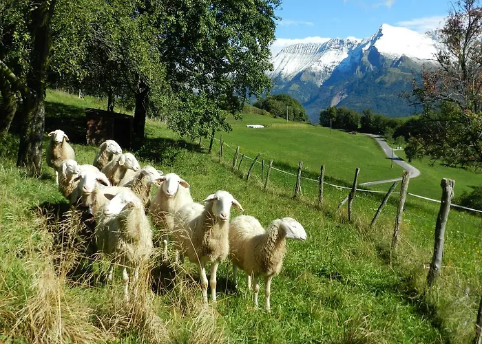 Jelenov Breg Pod Matajurem Кобарид