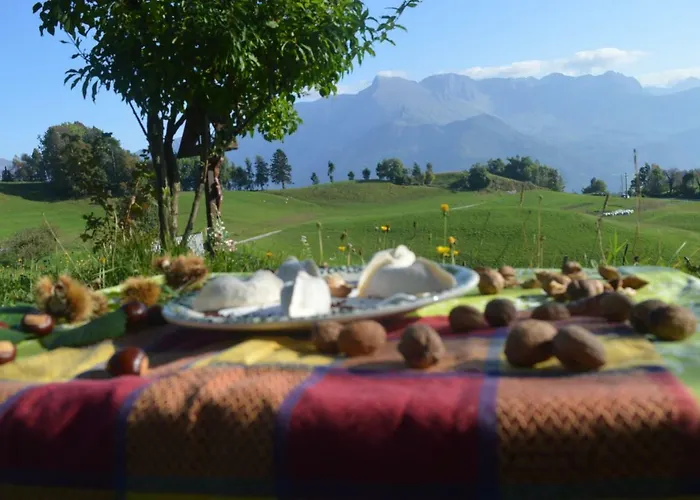 农家乐 Jelenov Breg Pod Matajurem